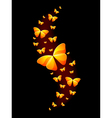 shiny butterflies vector image