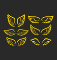wings golden icon set design graphic element vector image