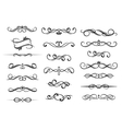 border calligraphic elements set vector image