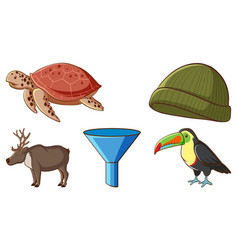 Large set different animals and other objects Vector Image