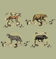 red fox boar bear and grey wolf logos emblems vector image