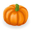 pumpkin vector image vector image