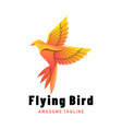 logo flying bird gradient colorful style vector image