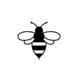 bee icon design template isolated vector image vector image
