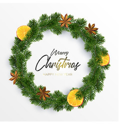 xmas wreath garland spices orange and fir vector image vector image