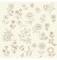 set of hand drawn flowers vector image