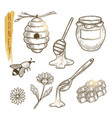 set of honey elements sketch of sweet vector image