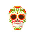 sugar skull with floral ornament symbol of mexico vector image
