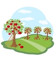 apple orchard with harvest on green meadow vector image