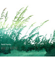 field herbs 3 vector image vector image