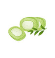 oval slices green roll vector image