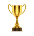 3d gold trophy or cup for champion sport award vector image