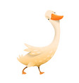 cute duck or goose animal drawing clipart for kids vector image