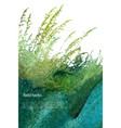 field herbs 4 vector image vector image
