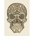 decorative isolated human skull vector image