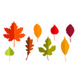 hello autumn set of leaves in paper cut vector image