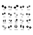 animals and birds feet tracks trails set vector image