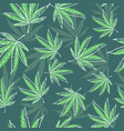 green seamless pattern with medical herbs vector image vector image