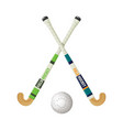 field hockey equipment and small ball vector image
