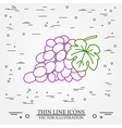 grapes thin line design pen icon pen vector image vector image