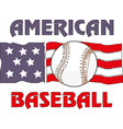 baseball flag usa eps10 vector image