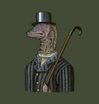 muraena eels gentleman in a hat and suit vector image vector image