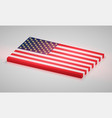 united states america flag vector image vector image