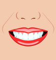 face girl and smile with ideal teeth vector image