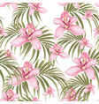 seamless pattern pink orchid flower vector image