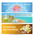 spa salon banner set vector image vector image