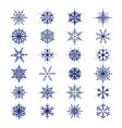 snowflakes collection vector image