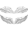 wings pack vector image