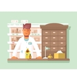 pharmacist at the pharmacy vector image