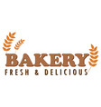 bakery text for banner or poster design vector image