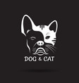 dog face bulldog and cat design on a black vector image