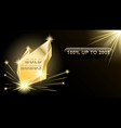 gold bonus banner vector image