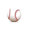 basball ball vector image
