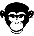 monkey isolated on background vector image