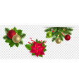 christmas labels set with holly berry vector image vector image