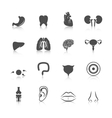 human organs icons vector image