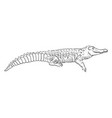 drawing animal crocodile vector image