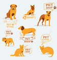 set dog ans cats icon and labels pet shop vector image