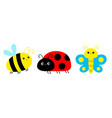 ladybug ladybird bee bumblebee butterfly lady bug vector image vector image