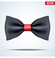 realistic black and red bow tie vector image