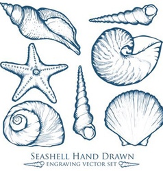 Hand drawn seashell set Royalty Free Vector Image