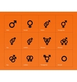 male and female sex symbol icons on orange vector image vector image