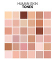 skin tone color chart human texture color vector image vector image