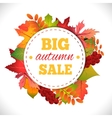 big autumn sale vector image