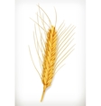 ear of wheat icon vector image