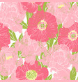 hand drawn peonies seamless pattern vector image